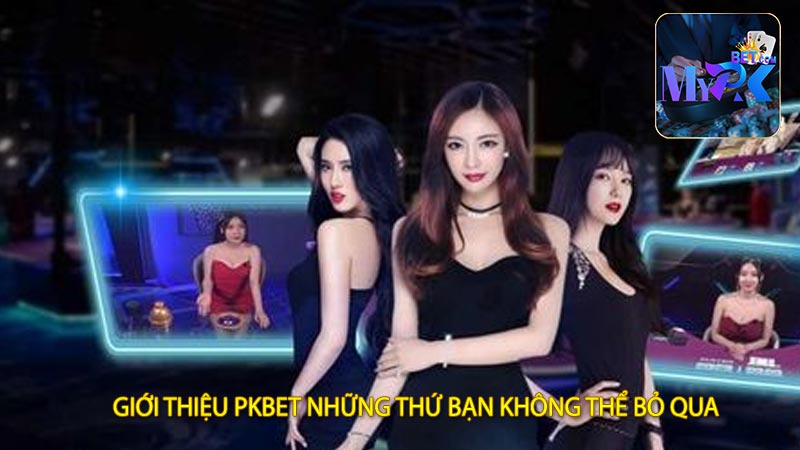 Giới Thiệu PKBET Những Thứ Bạn Không Thể Bỏ Qua